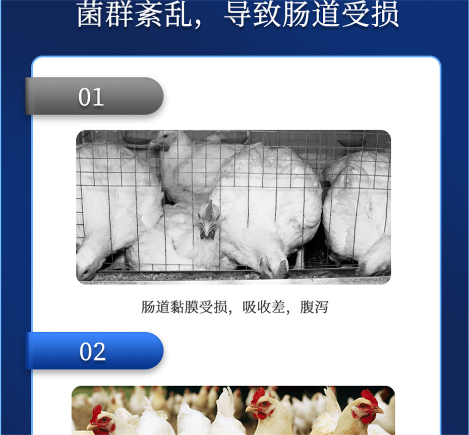 pp����ģ�������������������Ӽ�����Ԫ��Ʒ����