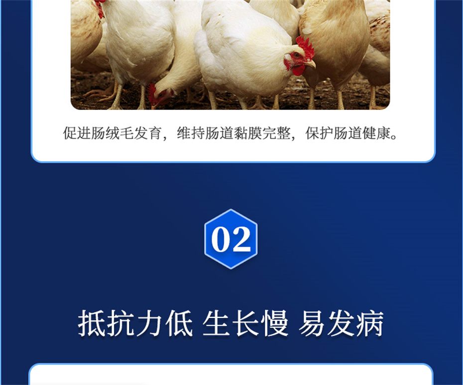 pp����ģ�������������������Ӽ�����Ԫ��Ʒ����