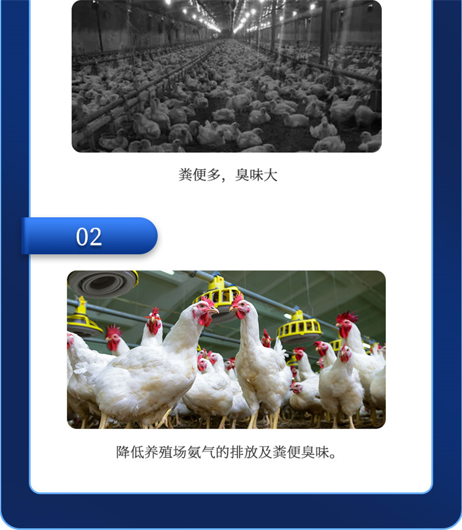 pp����ģ�������������������Ӽ�����Ԫ��Ʒ����