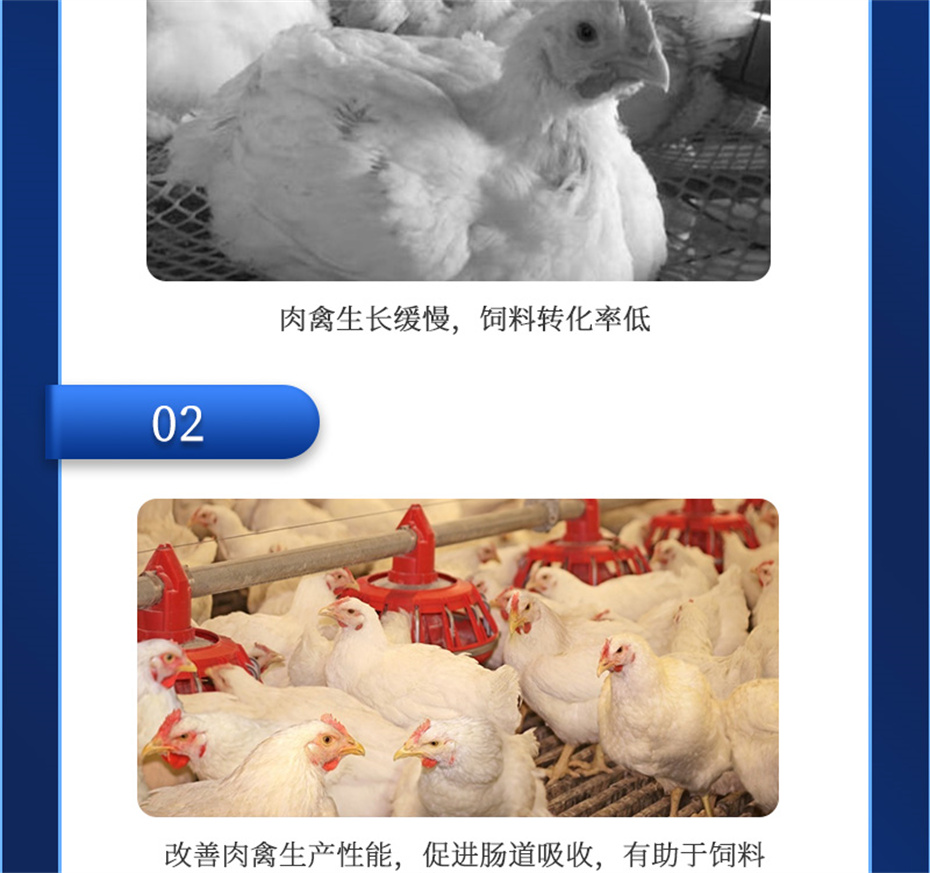 pp����ģ���������������������Ӽ������ز�Ʒ����