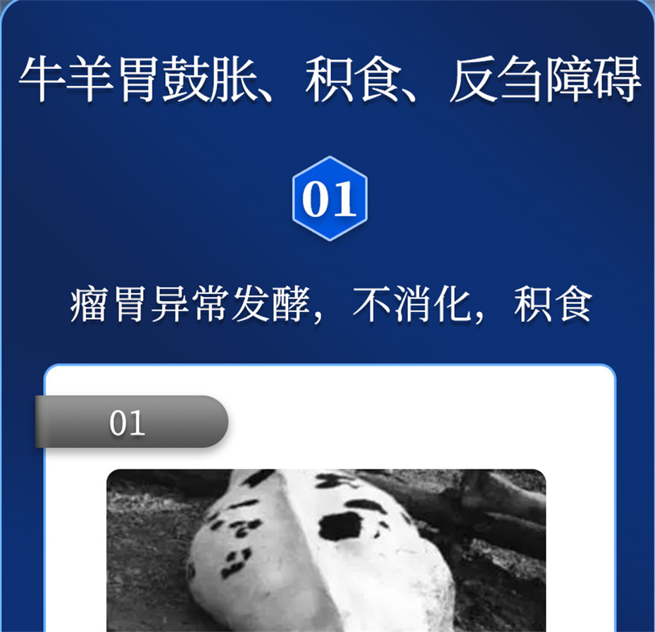 pp����ģ������������ţ���������Ӽ�θ��plus��Ʒ����