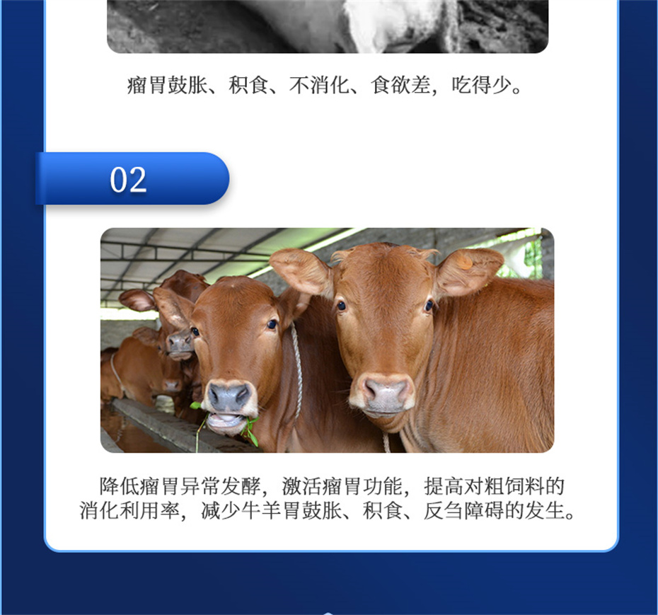 pp����ģ������������ţ���������Ӽ�θ��plus��Ʒ����