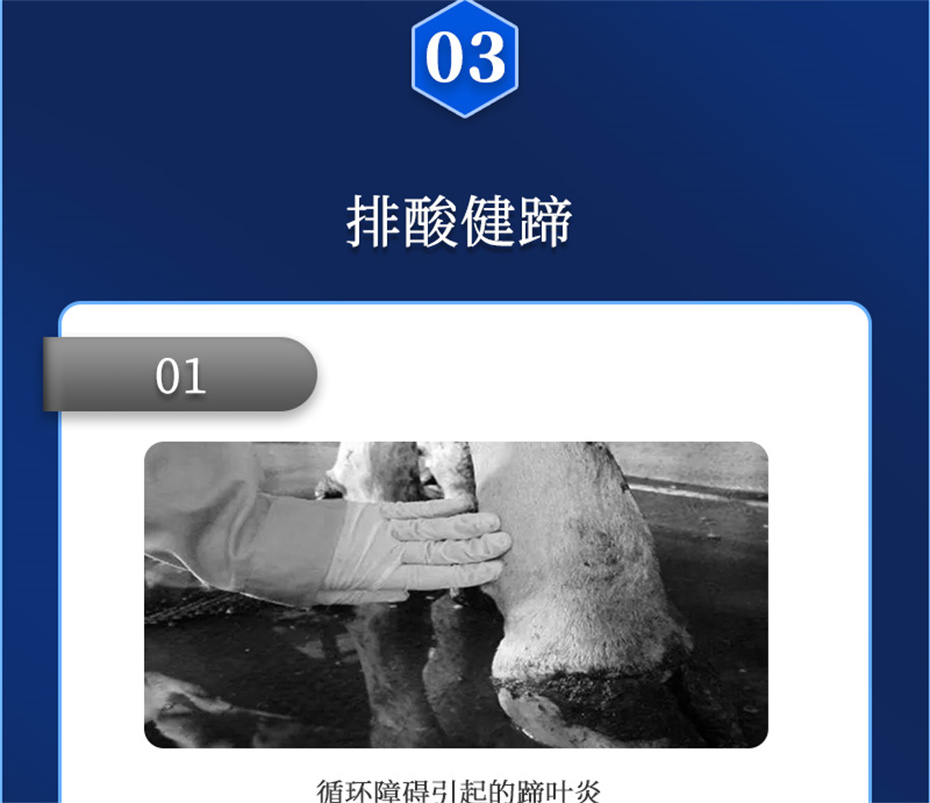 pp����ģ������������ţ���������Ӽ�θ��plus��Ʒ����