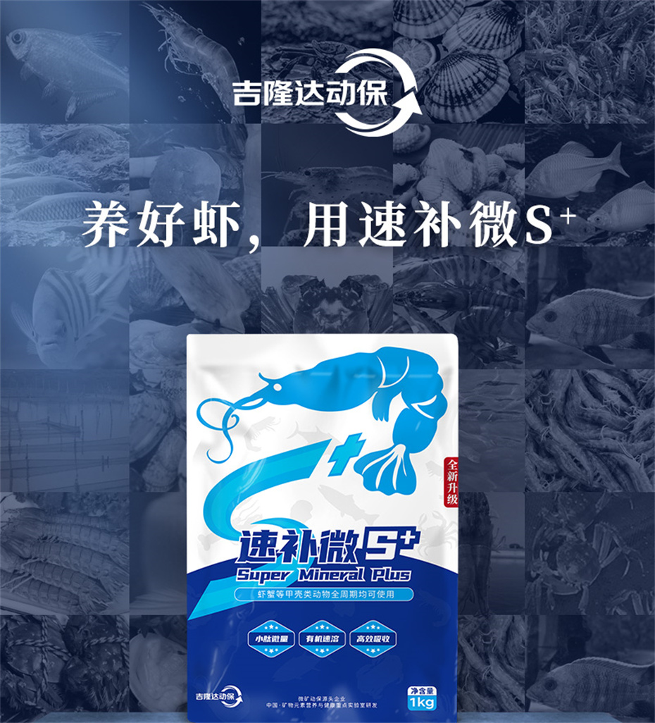 pp����ģ������������ˮ���������Ӽ��ٲ�΢s+��Ʒ����