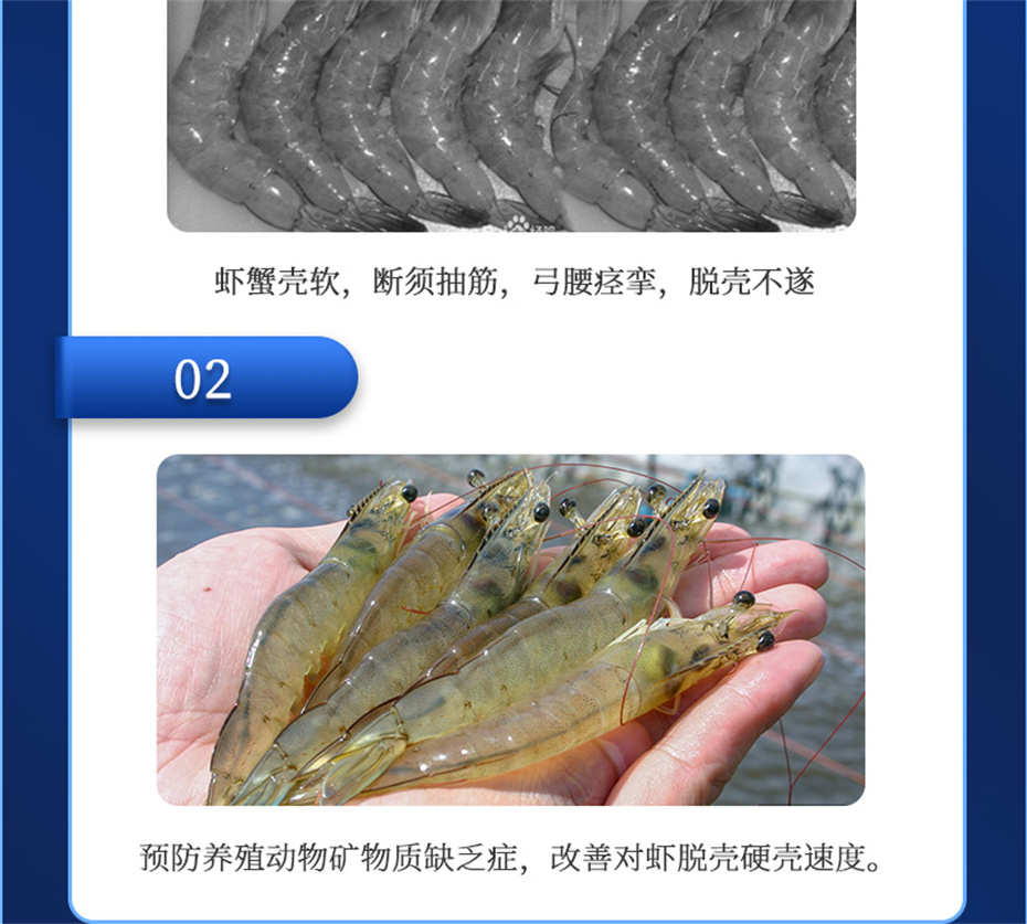 pp����ģ������������ˮ���������Ӽ��ٲ�΢s+��Ʒ����