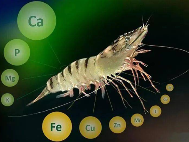 ��Ϻ����