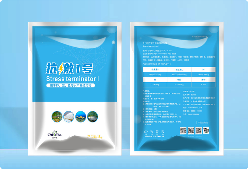 pp����ģ������������1��