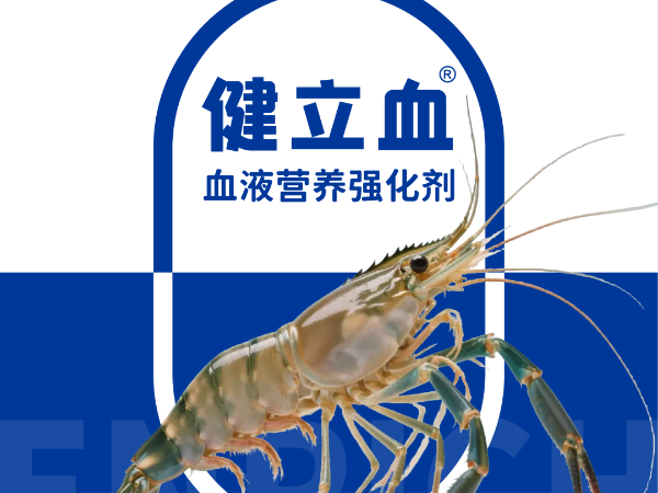 ��ϺҪ��Ѫ��͵��Ӧ�����߲���ԭ������Ϊ����