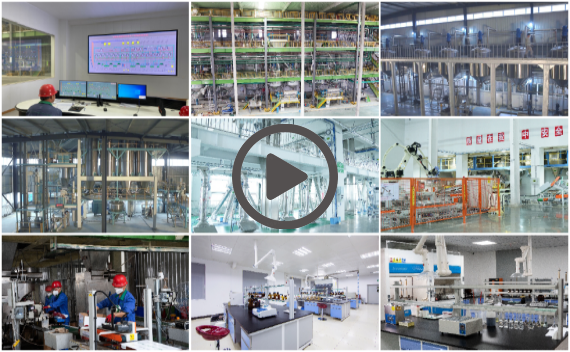 pp����ģ������������������Ƭ