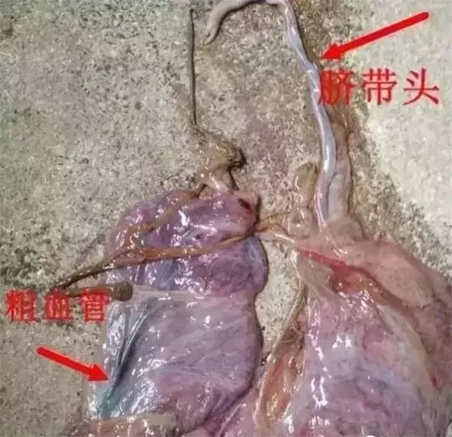 �ж�ĸ���Ƿ�����1���������ͷ