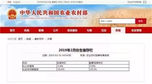 pp����ģ��������