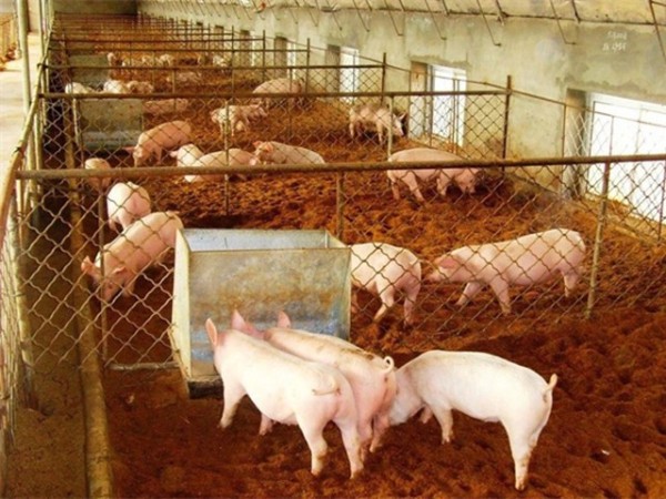 ����Ӧ�������ح�����£�ǿ��Ӫ����ʩ