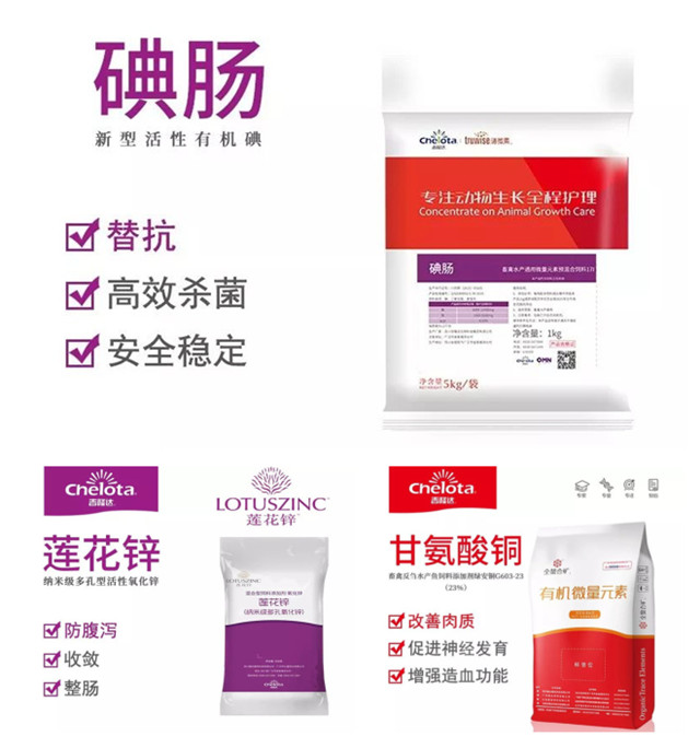 �������Ӽ�