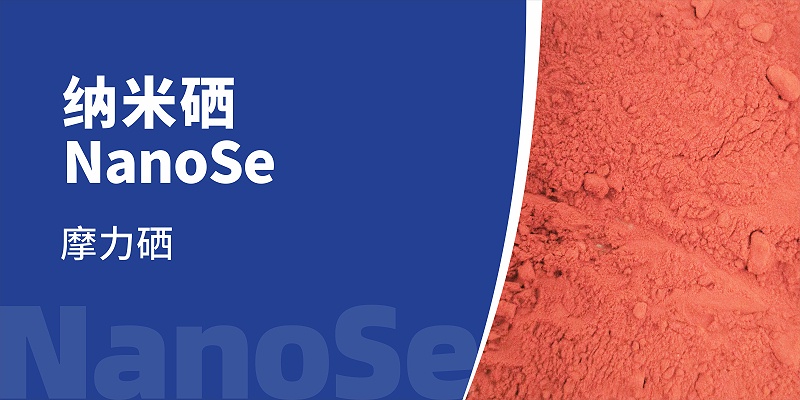 20240407pp����ģ��������01-1500x750mm