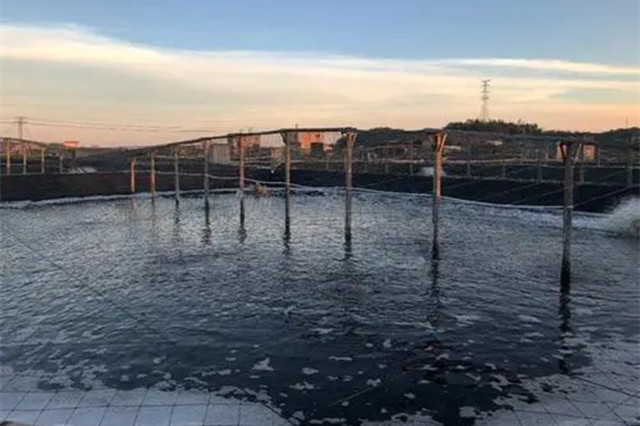 ��Ϻ����Ϻ��Ԥ��