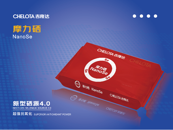 ���׻�� ��΢���ܡ�������pp����ģ��������Ħ�����ļ���ͻ��