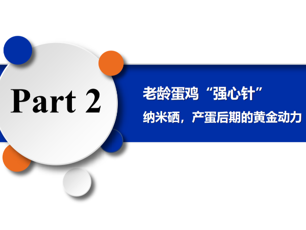 ���䵰����ǿ���롱����Ħ�������������ڵĻƽ���